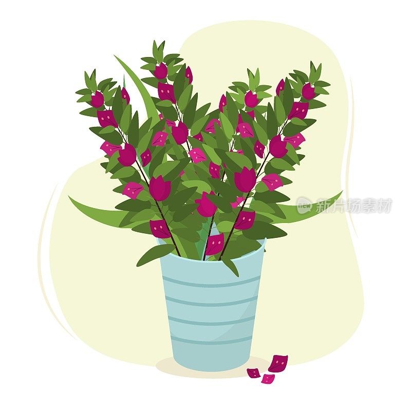 vector illustration of a bouquet of bougainvillea in a vase, spring theme